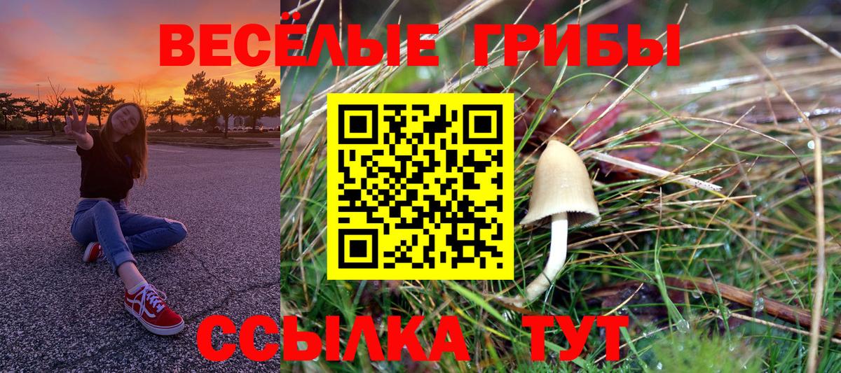 дарнет шоп  Псилоцибиновые грибы Magic Shrooms  Вход с VPN  Кинель  Галлюциногенные грибы Psilocybe 