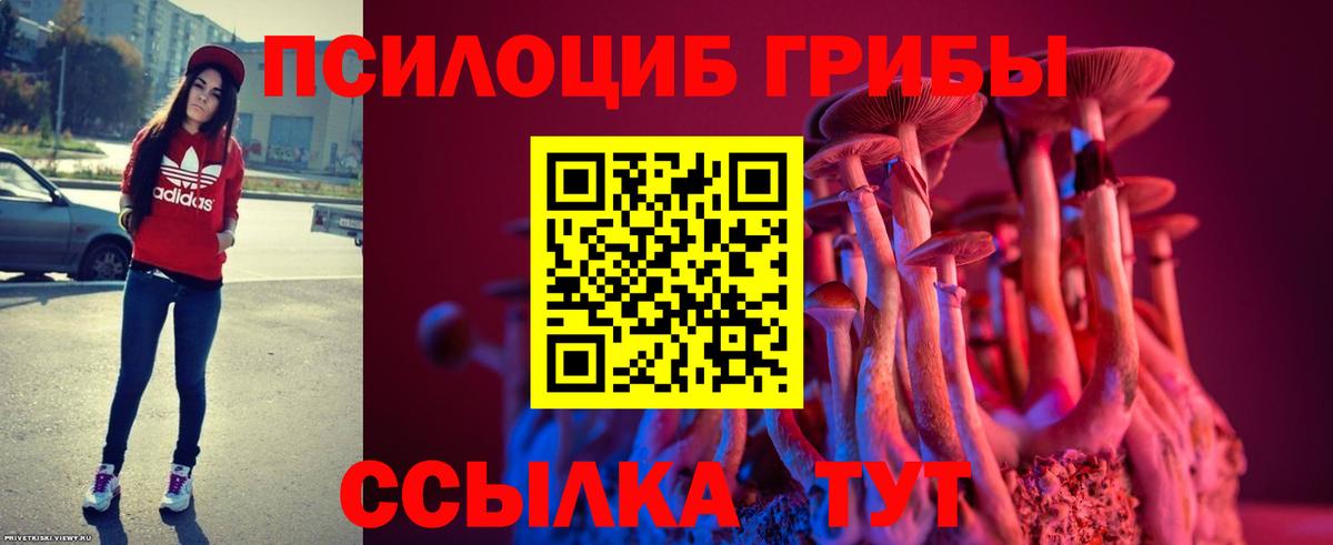 Галлюциногенные грибы мицелий Кинель